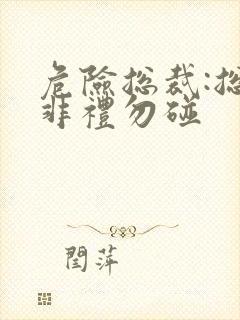 危险总裁:总裁非礼勿碰封面