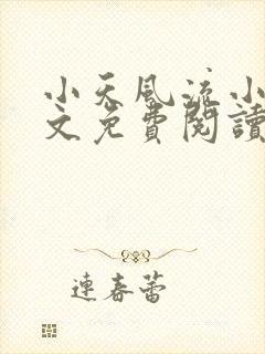 小天风流小说全文免费阅读无弹窗下封面