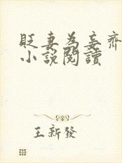 贬妻为妾齐子岑小说阅读