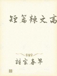 短篇辣文高h