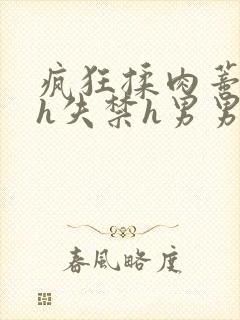 疯狂揉肉蒂高潮h失禁h男男