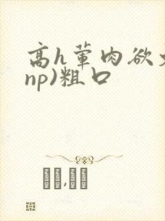 高h荤肉欲文(np)粗口