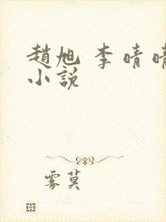 赵旭 李晴晴 小说封面