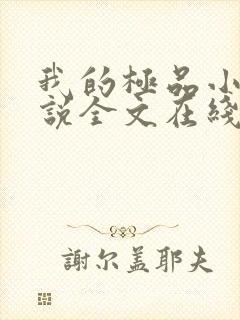 我的极品小姨小说全文在线阅读