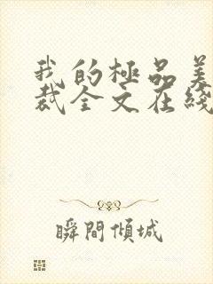 我的极品美女总裁全文在线阅读