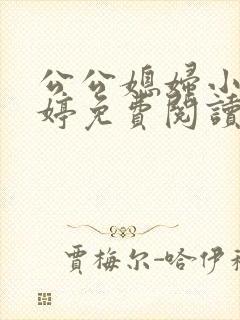公公媳妇小说婉婷免费阅读全文封面