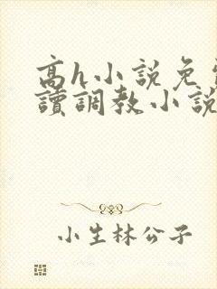 高h小说免费阅读调教小说免费阅读