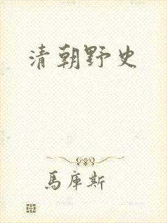 清朝野史封面