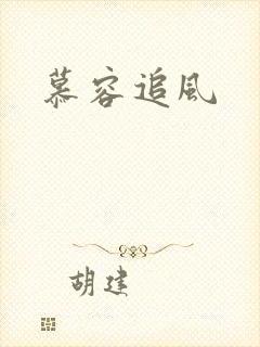 慕容追风
