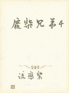 废柴兄弟4