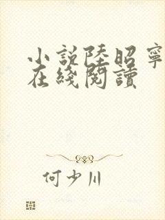 小说陆昭宁萧昀在线阅读封面
