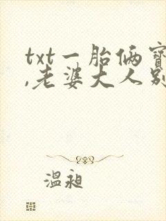 txt一胎俩宝,老婆大人别想逃下载