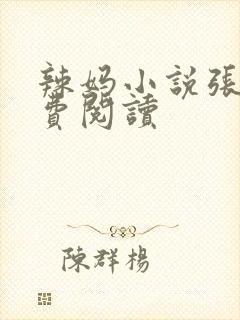 辣妈小说张静免费阅读