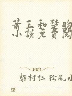 萧王和楚昀宁的小说免费阅读无弹窗封面