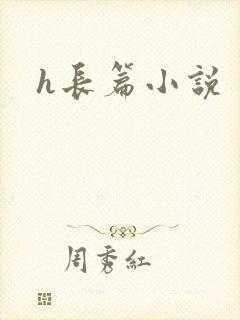h长篇小说封面