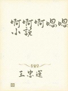 啊啊啊嗯嗯嗯h小说封面