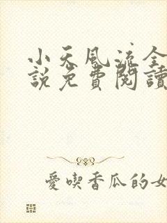小天风流全集小说免费阅读