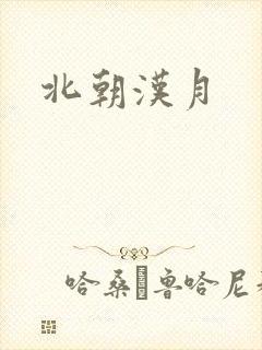 北朝汉月封面