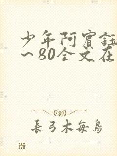 少年阿宾钰慧1～80全文在线阅读
