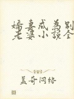 娇妻成为别人的老婆小说全文阅读免