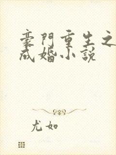 豪门重生之暖爱成婚小说
