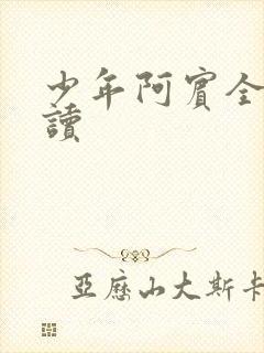 少年阿宾全集阅读