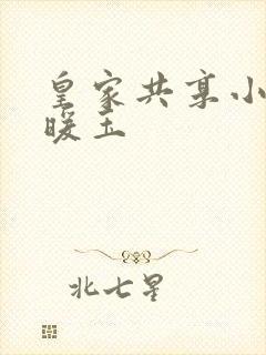 皇家共享小公主暖玉