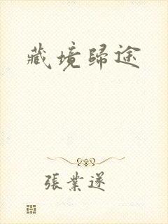 藏境归途封面