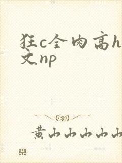 狂c全肉高h辣文np