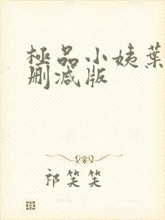 极品小姨叶凡无删减版