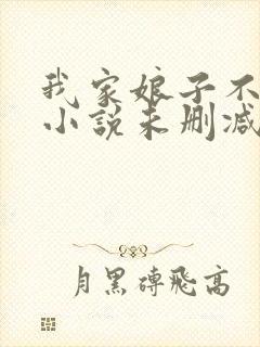 我家娘子不对劲小说未删减版
