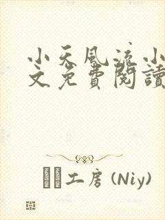 小天风流小说全文免费阅读无弹窗