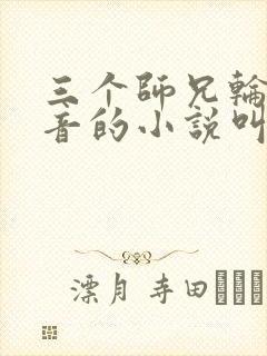 三个师兄轮流上音的小说叫什么