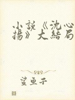 小说《沈心窈祁扬》大结局封面