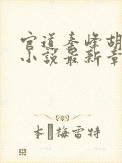 官道秦峰胡佳云小说最新章节列表