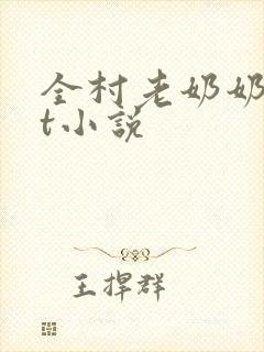 全村老奶奶txt小说