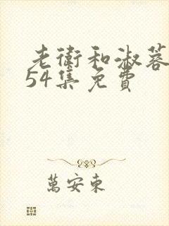 老卫和淑蓉1一54集免费