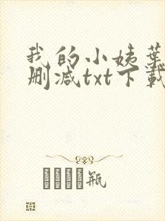 我的小姨叶凡无删减txt下载