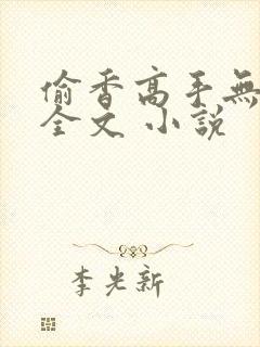 偷香高手无删减全文 小说封面