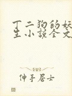 丁二狗的妖孽人生小说全文免费