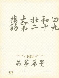 杨大壮和田桂花的第二十九