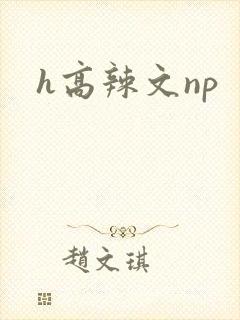 h高辣文np封面