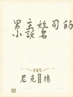 男主姓司的全部小说名