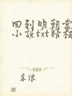 回到明朝当王爷小说txt精校版