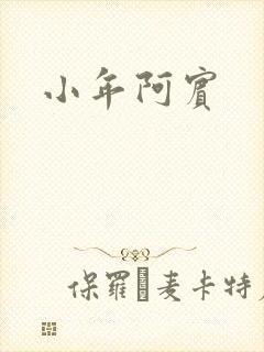 小年阿宾