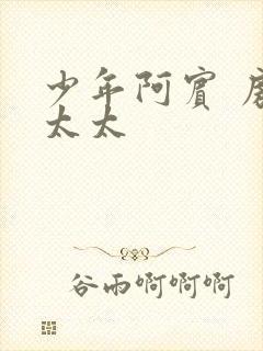 少年阿宾 房东太太