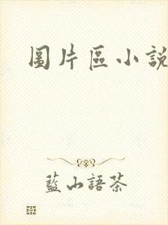 图片区小说区
