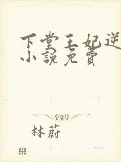 下堂王妃逆袭记小说免费封面