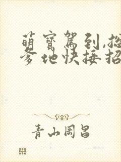 萌宝驾到,总裁爹地快接招