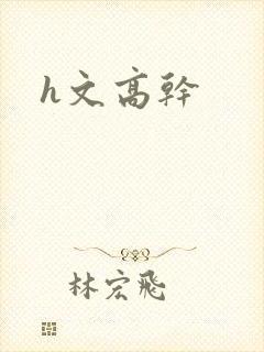 h文高干封面